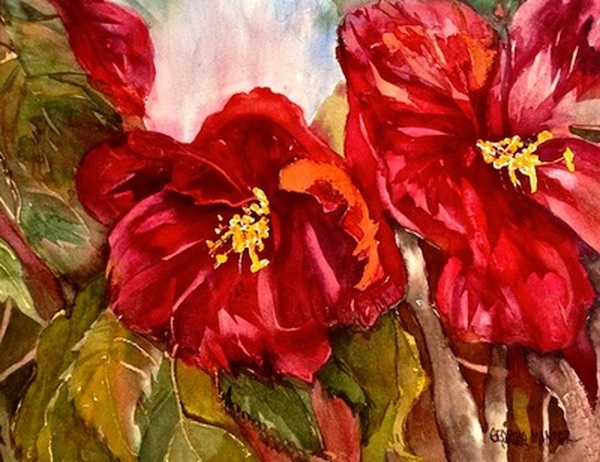 Sher’s Hibiscus