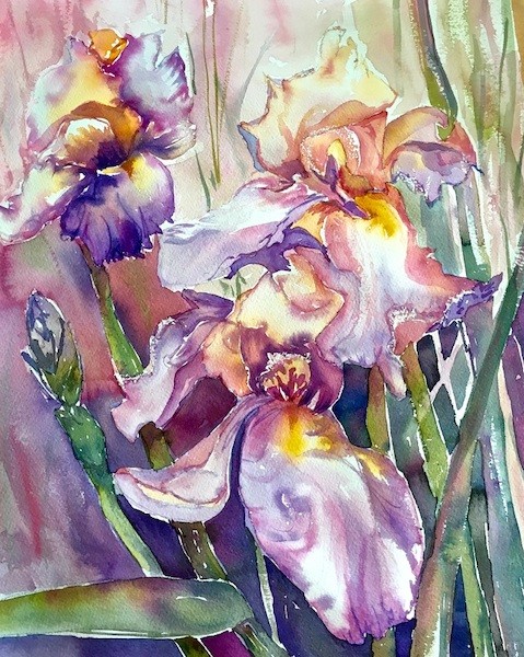 Georgia Mansur Wild Irises