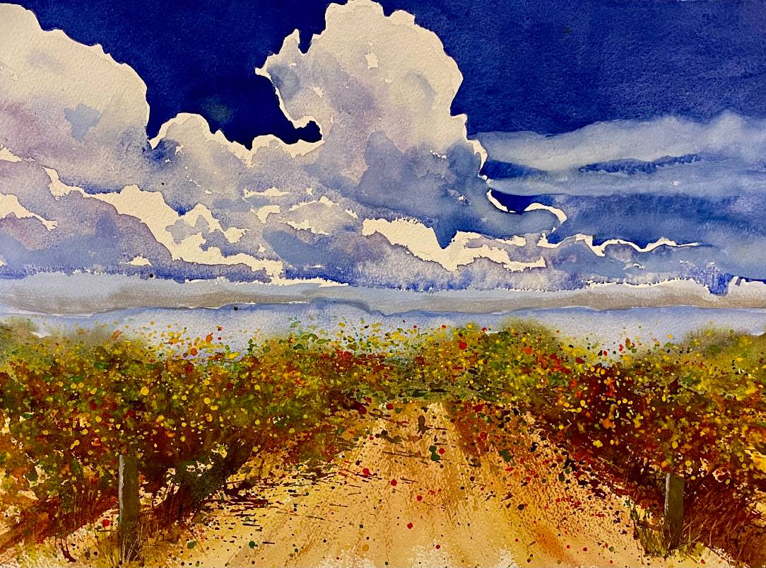 Cloudy Vineyard - Georgia Mansur