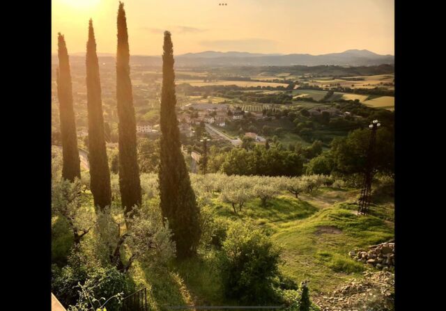 I am so excited to be teaching in Umbria Italy next year~ please join me! Early registration is now open. Book your space now for 13-23 Sept. 2024! It’s going to be a fabulous workshop and Italian experience. Click link: https://laromita.org/workshop/watermedia-for-newbies-with-georgia-mansur/ @laromitaschool @edmund_zimmerman @valeriobelloni #ciaobella #italia #iteachart #mangia #pintura #letspaint #paintingretreat #beauty #loveitaly #andiamo #watercolour #acrylicpainting #oilpainting #mixedmedia #sketching  #travelingartist #artadventures